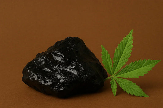 Strength Reimagined: A Gentle Daily Ritual with Shilajit Gold Gummies for Men