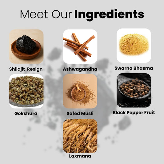 Daiko  Wellness Shilajit Gold Gummies