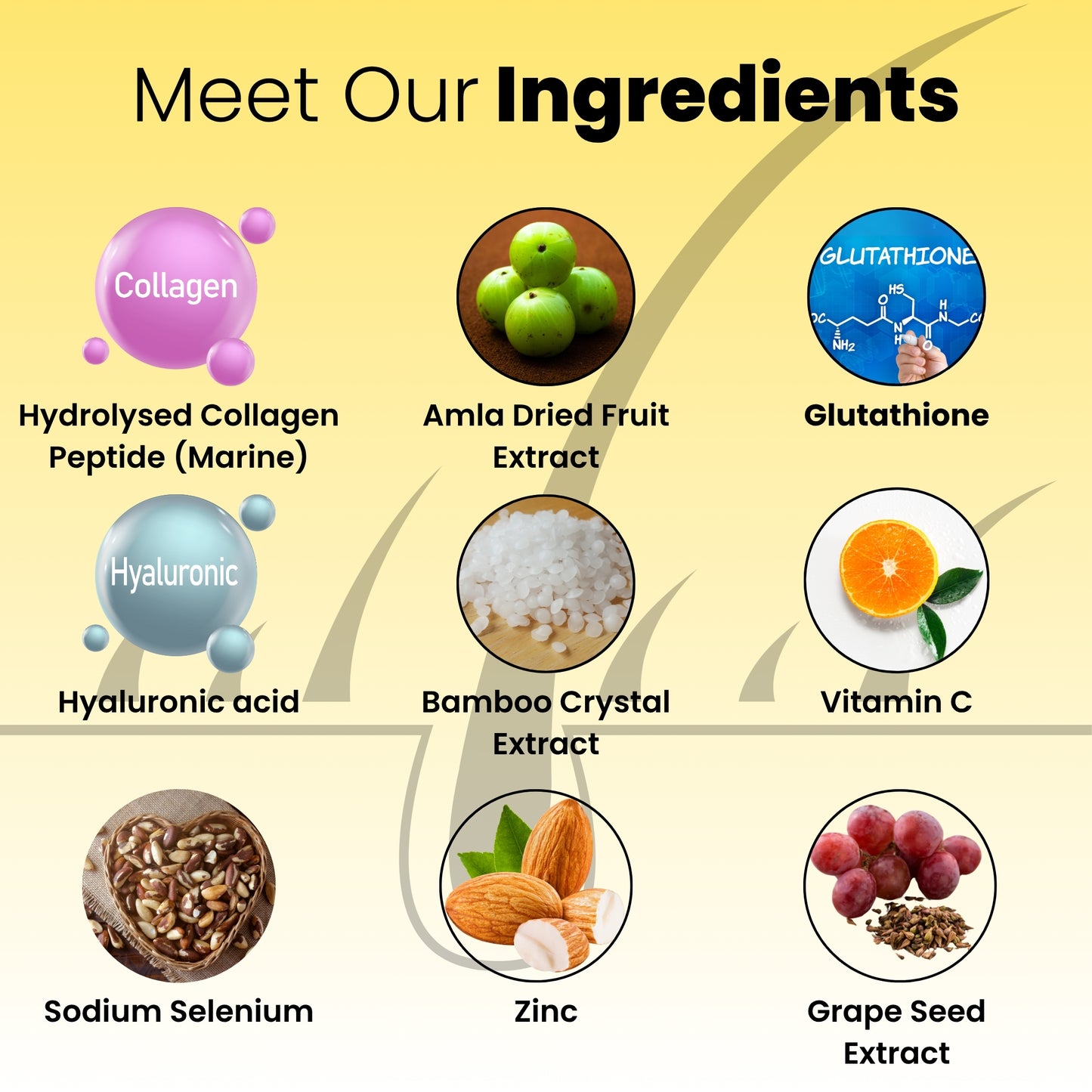 Daiko Wellness Amla Collagen + Biotin Gummies