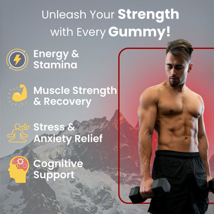 Daiko  Wellness Shilajit Gold Gummies